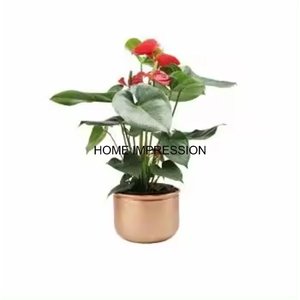 Venta caliente Maceta y maceta Marco de diseño floral Hierro hecho Color negro Recubierto de polvo para decoración del hogar del exportador indio mejor listado - Product Image 3