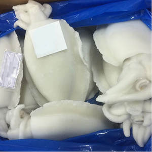 IQF Frozen Whole Cuttle Fish Premium Grade Low-Salt - Product Image 2