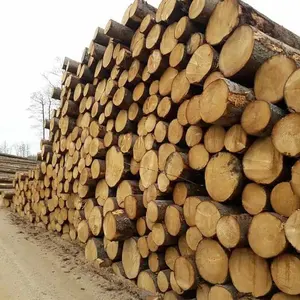 我们专门生产木材和原木，我们有待售的木材