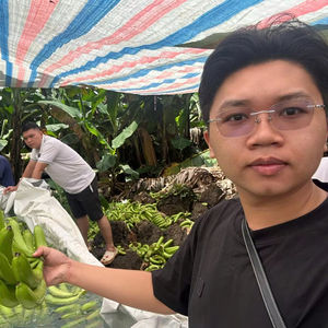 Vietnam Highland Cavendish Bananas Premium Export Grade Textura dulce y firme Embalado para supermercados e importadores - Product Image 1