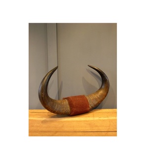 Corne décorative moderne corne de buffle murale Produit de vente populaire décoration murale corne de paire de vache et buffle - Product Image 3