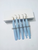 Pinzas para Extensión de Pestañas de Alta Calidad, Diferentes Estilos, Recubrimiento en Polvo Azul Claro con Diseño de Copo de Nieve, Logotipo Personalizado, Instrumento de Belleza