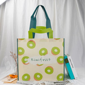 Bolsa de Compras de Tela No Tejida con Cierre de Gancho y Bucle y Asa de Cinta de Polipropileno - Product Image 2