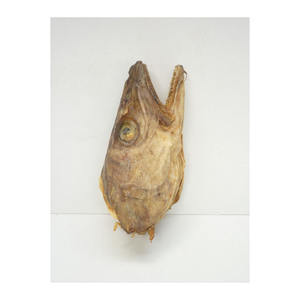 Poisson congelé de haute qualité, faible teneur en sucre et en glucides, paquet de 5 kg - Product Image 5