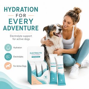 Suplemento de Hidratación <span class=keywords><strong>para</strong></span> <span class=keywords><strong>Perros</strong></span> en Barra, Polvo de Recuperación con Electrolitos y Agua de Coco y Taurina <span class=keywords><strong>para</strong></span> <span class=keywords><strong>Perros</strong></span> Activos, OEM - Product Image 5