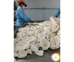 Viande de noix de coco naturelle congelée: blanche, parfaite pour les desserts et la crème glacée, fabriquée par des fournisseurs vietnamiens pour les marchés mondiaux - Product Image 1