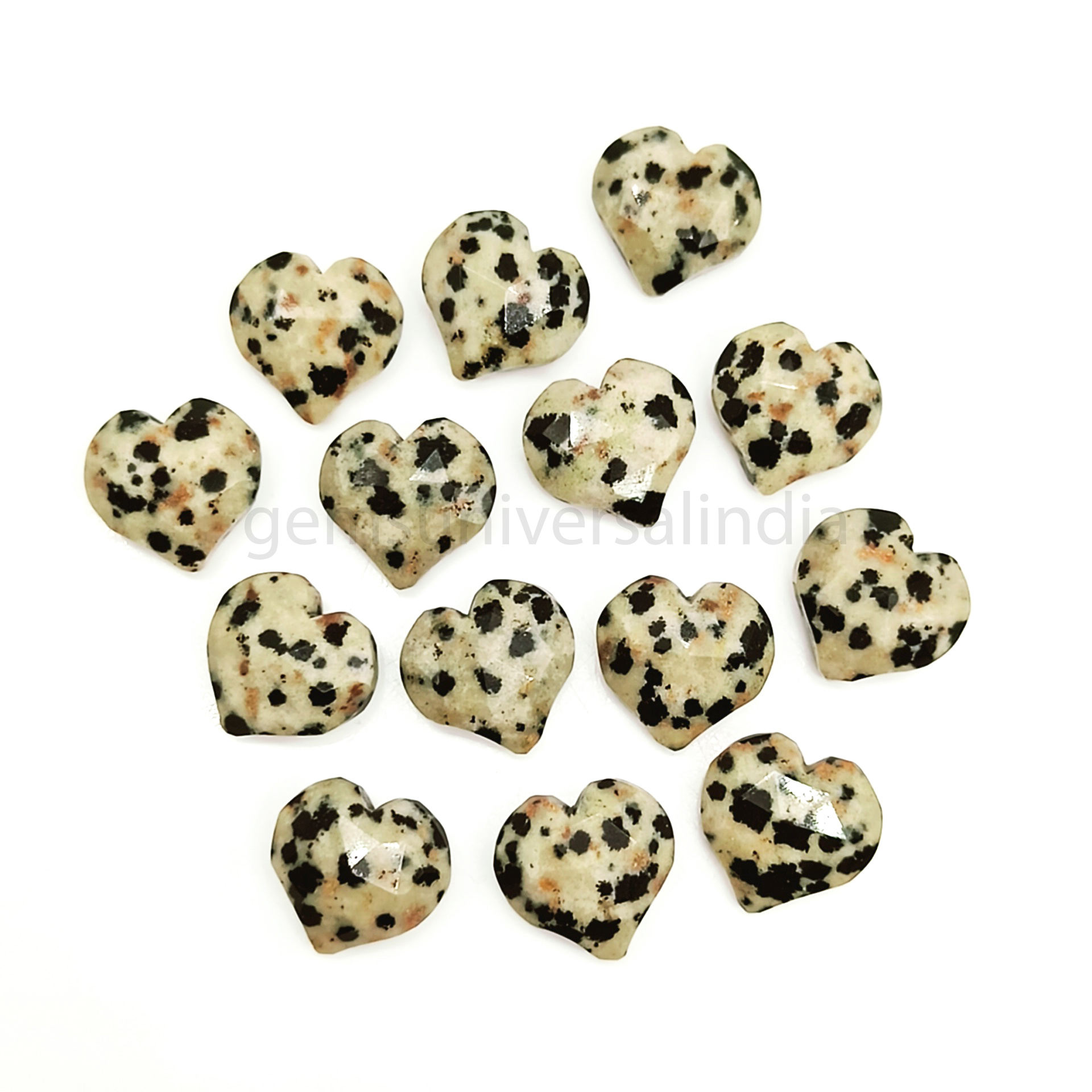 สีดำ/ สีขาว