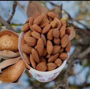 Nueces de almendras crudas de alta calidad para cocinar bocadillos, hornear y recetas veganas Almendras orgánicas puras - Product Image 3