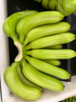 Premium Vietnamese Cavendish Bananen – Gladde Textuur, Zoete Smaak, Perfect voor Foodservice