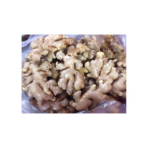 Rizoma natural de jengibre fresco al por mayor, ingrediente culinario para condimentos de alimentos y mercado de exportación cultivado en Vietnam - Product Image 1