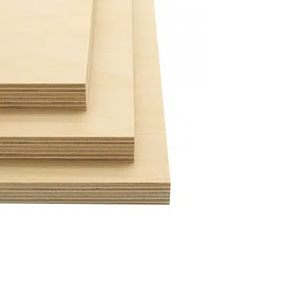 Panneaux de contreplaqué pour projets éducatifs-Différentes tailles et épaisseurs disponibles - Product Image 2