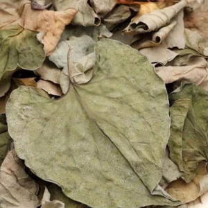 Hojas de Menta Secas Premium (Houttuynia Cordata) 100% Naturales, Grado Té Herbal, Estándar de Exportación a Granel Ms.May - Product Image 1