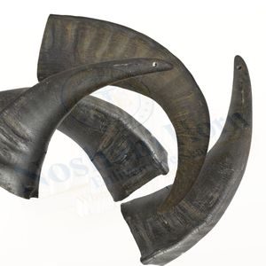 Tinh Khiết Trâu Sừng Con Chó Chew Cho Vật Nuôi Nha Khoa Làm Sạch Tự Nhiên Nhai Đồ Chơi Cho Chó Vừa - Product Image 5