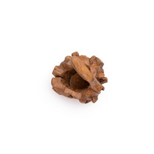 Erosin Long Trunk Teak Root Decorative <b>Object</b> Unique Rustic Organic Beauty to Enhance Any Room with Natural Charm - Product Image 3