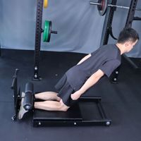 Chaise Romaine Commerciale Multifonctionnelle, Banc Nordic Curl, Équipement de Fitness pour le Dos et les Abdos, Hyperextension