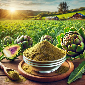 ผงสารสกัดจากใบอาร์ติโช้คป่า0.8% กรด chlorogenic สำหรับการใช้งานอาหารเพื่อสุขภาพ - Product Image 5