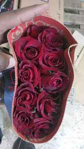 Siempre Rojo - Product Image 2