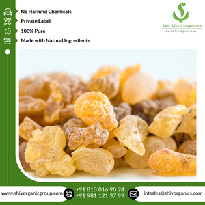Fourniture en gros de la plus haute qualité Extrait de plantes de Boswellia Serrata de qualité thérapeutique pure et naturelle de l'exportateur indien - Product Image 6