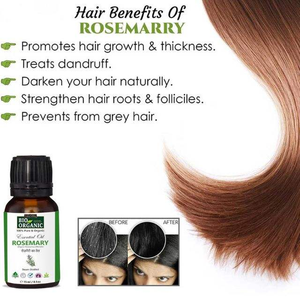 Vente en gros Prix pour MSDS Huile de pousse des cheveux certifiée biologique au romarin Huile essentielle végétalienne Hydratant Lissant Meilleur prix - Product Image 5