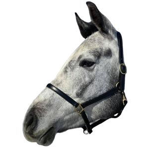 สายจูงม้าแบบดีลักซ์ 3/4 นิ้ว พร้อมหัวล็อคแบบสแนป สีดำ พร้อมอุปกรณ์ทองเหลืองสีเงิน - Product Image 1