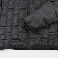 Blousons d'hiver matelassés pour femmes en gros, nouvelle collection, sans coutures, pliables, gris, rembourrés en coton, satinés, imperméables