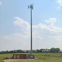 Antennes d'accès Wi-Fi coniques de 30 m pour tour, tour en acier monopôle avec connexion à bride et boulons à pas pour la communication