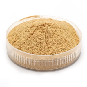 Sapodilla ผงผลไม้สกัดจากเวียดนาม - Product Image 6