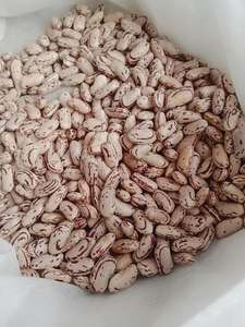 Frijoles Pintos de Primera Calidad en Venta - Product Image 4