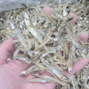 High Quality Raw Dried Anchovy Without Steam Seafood Whole Small Fish Anchovy With Head R4 (5-7cm) Long SeafoodFrom Vietnam