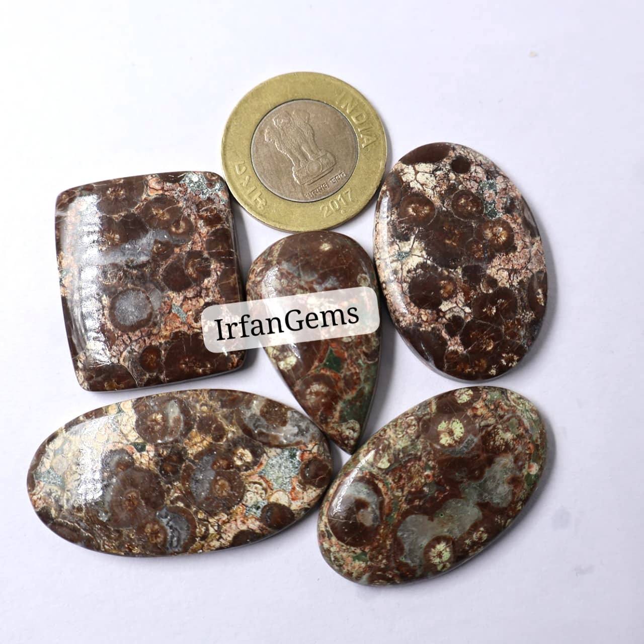 เห็นเป็นภาพ