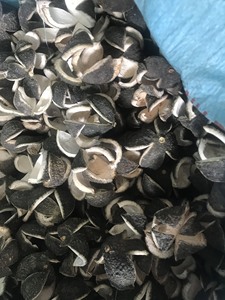 Qualité garantie 100% écorces de fruits naturels orange séchées peau de mandarine déshydratée séchée à l'air originale de - Product Image 5