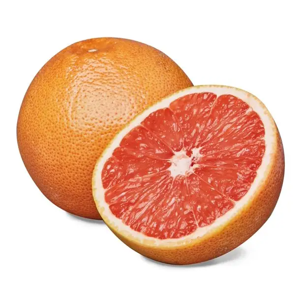 High quality flavor IA022 GRAPEFRUIT SPRAY FLAVOUR 50511 Flavouring substances flowing powder 5 kg craft bag