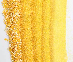 Maíz Amarillo No Glutinoso de Alta Calidad al por Mayor, 24 Meses de Vida Útil, Directo de Fábrica para Proveedores de Alimentos para Animales - Product Image 6
