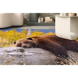Alfombras con diseño de oso pardo descansando sobre una rama, alfombra moderna, alfombra estampada, alfombra fina no tejida - Product Image 1