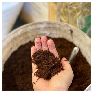 Cocopeat superventas para árbol de plantas Calidad de exportación Premium Cocopeat Block - Product Image 5