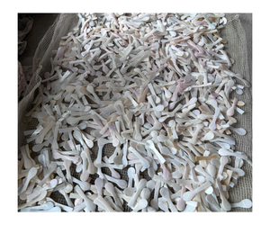 La mejor opción de cuchara de nácar de lujo, cuchara ecológica hecha a mano, concha marina natural 100% - Product Image 1