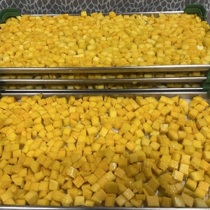 High Quality Frozen Whole Mango Dices Vietnam <b>Sweet</b> Taste Preserved Water LQF Freezing Bulk Vacuum Pack <b>Packaging</b> Export Silk - Product Image 2