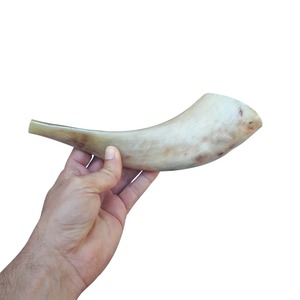 Shofar de Cuerno de Carnero Natural Hecho a Mano, Cuerno Ceremonial Tradicional - Product Image 1