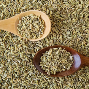 Graines de fenouil de qualité supérieure en gros, huile essentielle élevée, couleur verte, support de marque privée, emballage OEM en vrac - Product Image 5