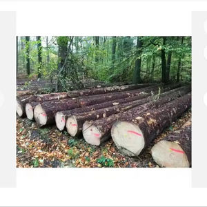 Troncos de pino al por mayor de operaciones forestales certificadas con certificación de cadena de custodia FSC PEFC para una explotación sostenible - Product Image 3