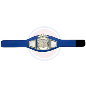 เข็มขัดแชมป์เฮฟวี่เวทสำหรับนักมวยปล้ำรุ่นแท็กโลกออกแบบได้ตามต้องการ - Product Image 3