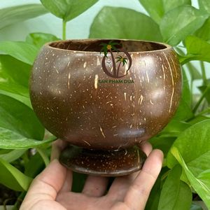 Taza de cáscara de coco artesanal para helado/tazas naturales tazón de coco/tazas de té y tazas de café de coco - Product Image 3