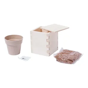 Pot avec kit de graines de menthe, gadgets écologiques - Product Image 4