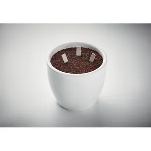 LEYTI Bâtonnets de graines d'herbes écologiques, fournitures de jardinage, gadgets - Product Image 3