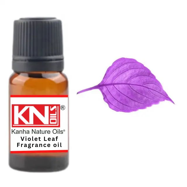 Kaufen Sie Violet Leaf Fragrance Oil zum Großhandels preis von Indien größte Herstellung Kanha Natur öle