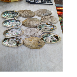 หอยเชลล์หอยเป๋าฮื้อมุกทำจากธรรมชาติที่ดีเหมาะสำหรับร้านจำหน่ายเปลือกหอยทะเลและทำเลียนแบบด้วยเช่นกัน - Product Image 3