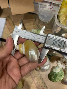 Anillo para Servilletas con Diseño Exótico de Vietnam, con Caracoles y Conchas Marinas, para Decoración de Comedor de Casa de Playa y Estilo Marítimo - Product Image 3