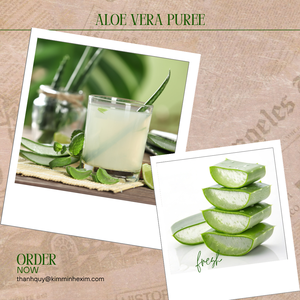 Puré de Aloe Vera sin azúcar exportado vietnamita en embalaje a granel, jugo de frutas y verduras - Product Image 2