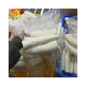 Yuca Congelada Natural Entera y Pelada de Alta Calidad, Envasada al Vacío, IQF, Tapioca, Procedente de Vietnam, Exportación a Granel para Suministro al por Mayor - Product Image 1