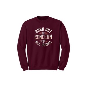 Sudadera de mezcla de algodón con temas de Buda Estampado Estilo informal 12 opciones de color 260-280 Colocación de diseño personalizable GSM pesado - Product Image 6